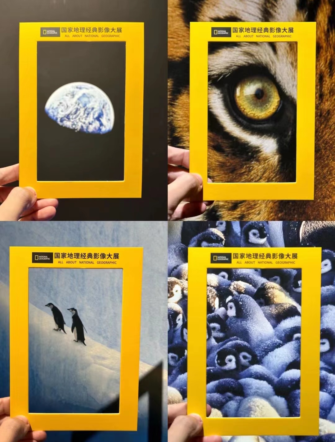 偷偷藏不住厦门取景地集美,偷偷藏不住厦门取景地