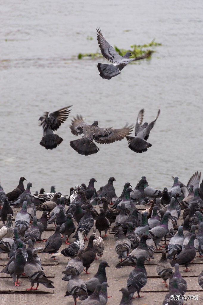 全面放开“大势所趋”，消除恐慌更是势在必行