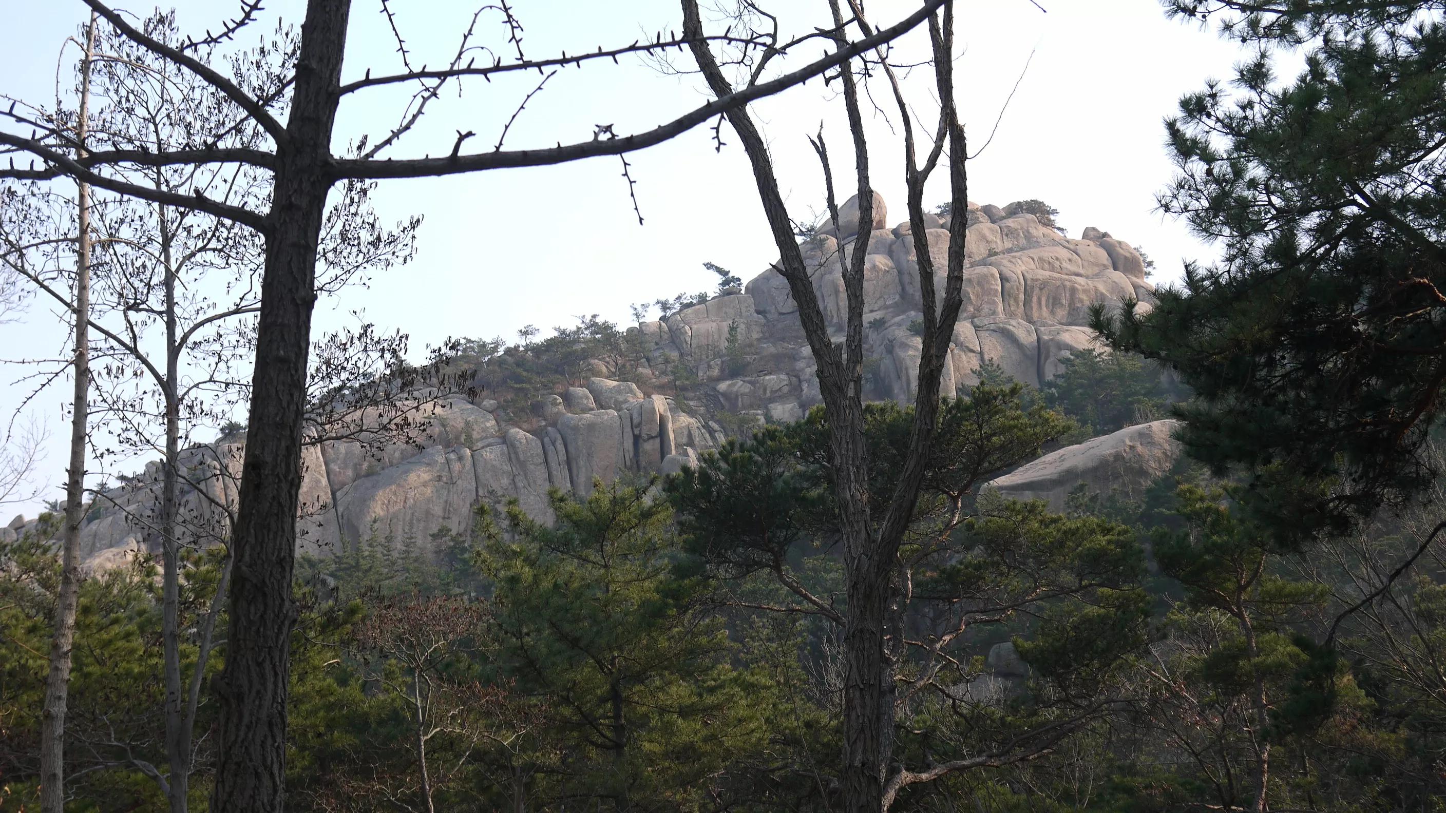 闈掑矝宕傚北浠板彛绱㈤亾,闈掑矝宕傚北浠板彛璧舵捣