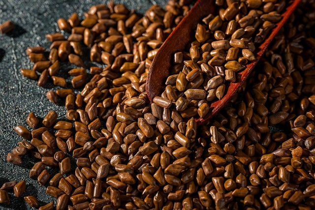 防眼睛近视的中药,眼睛易疲劳中医