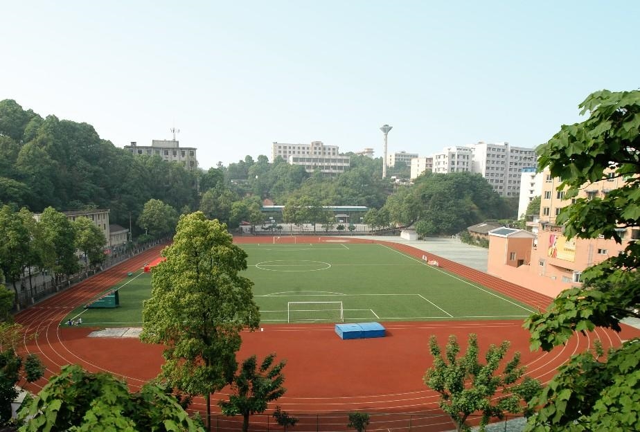 成都师范学院VS乐山师范学院，艺术类专业录取难度解析