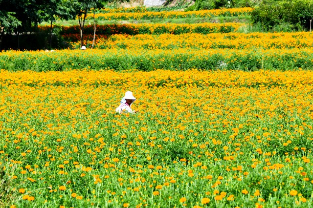 适合农村的小型加工厂创业项目,适合在农村做的小型加工厂