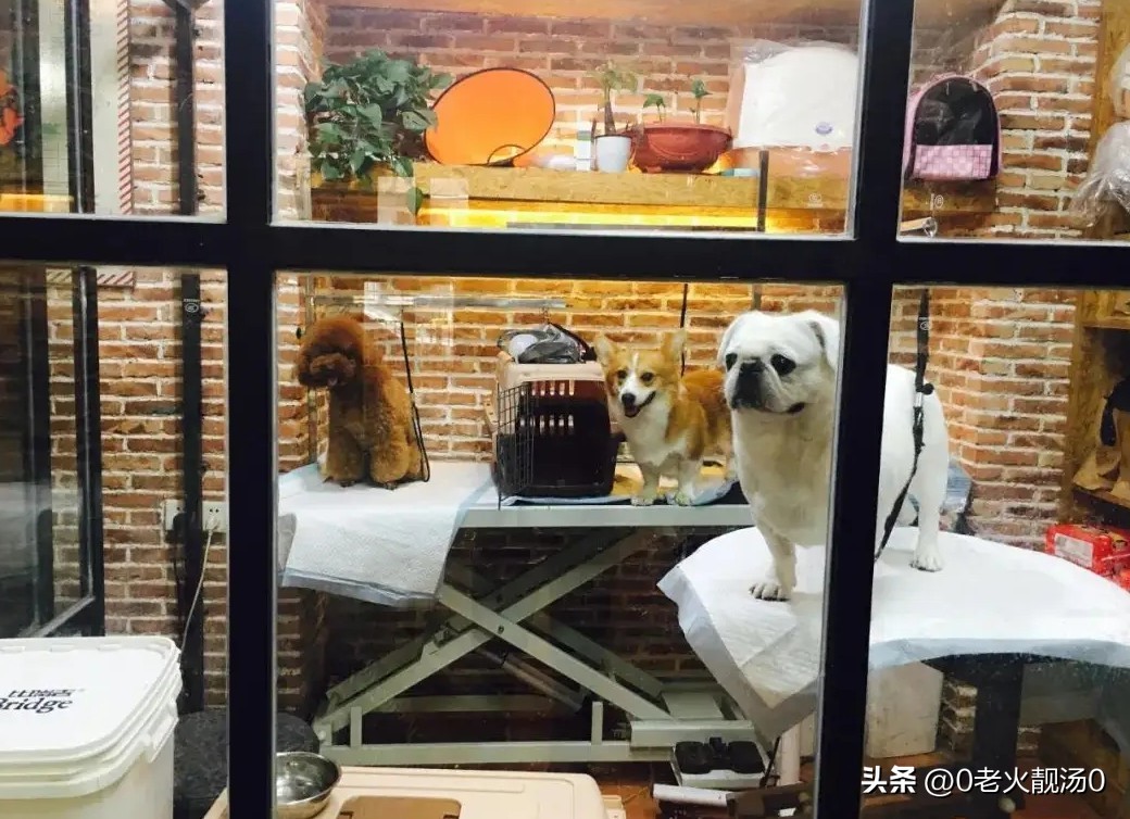 创业致富赚钱的秘密,创业有哪些小秘密