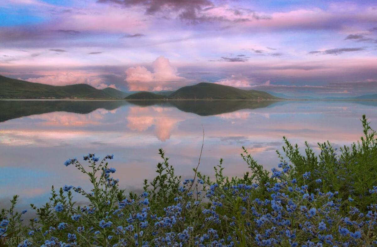 男女暧昧的具体行为有哪些,男女之间哪些行为可以断定是暧昧