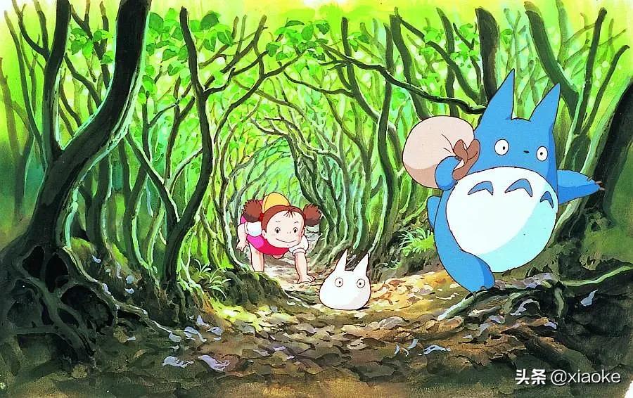 龙猫小梅和龙猫第一次接触的事件,龙猫小梅摸了大龙猫的鼻子