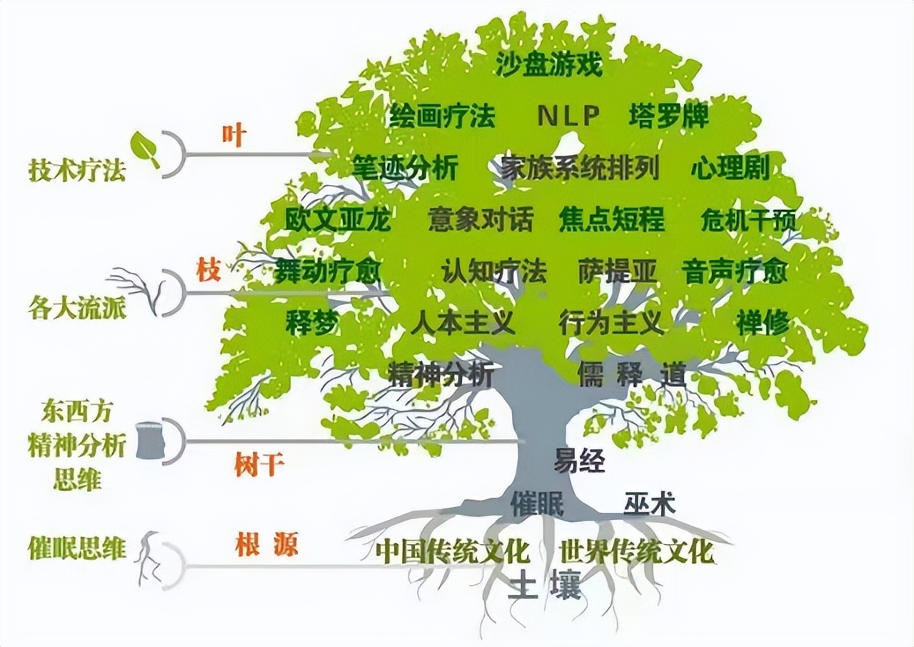 心理学性格的种类,大一心理学情绪的种类