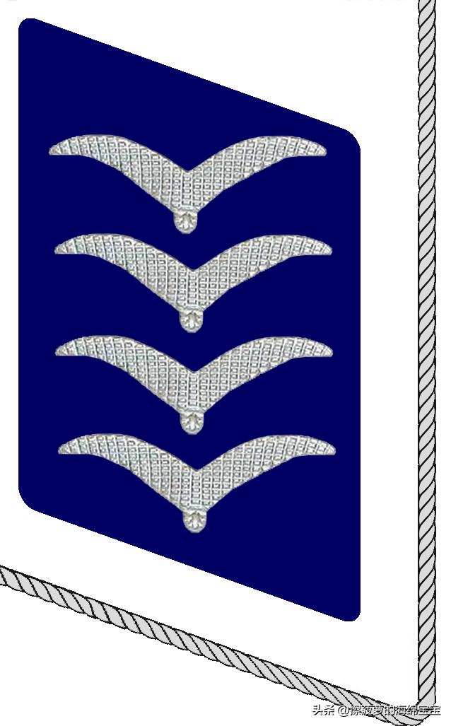 二战德国国防军医疗兵军衔标志