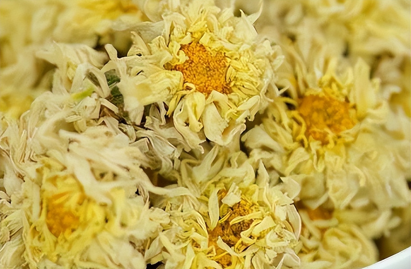 小暑解暑茶,夏日消暑菊花茶