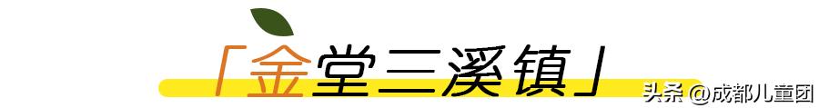 成都温江橘子采摘园推荐10月份,江苏附近橘子采摘园有哪些地方