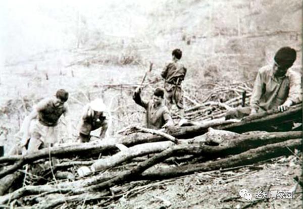 陈凯歌老照片大全集,陈凯歌的知青岁月