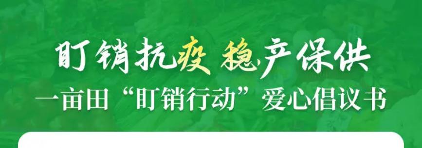 辣椒3块钱一斤挣钱吗,辣椒300元一斤
