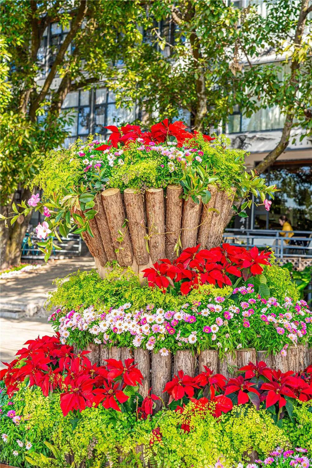 带你去双廊,住在浪漫的双廊洱海边看风景