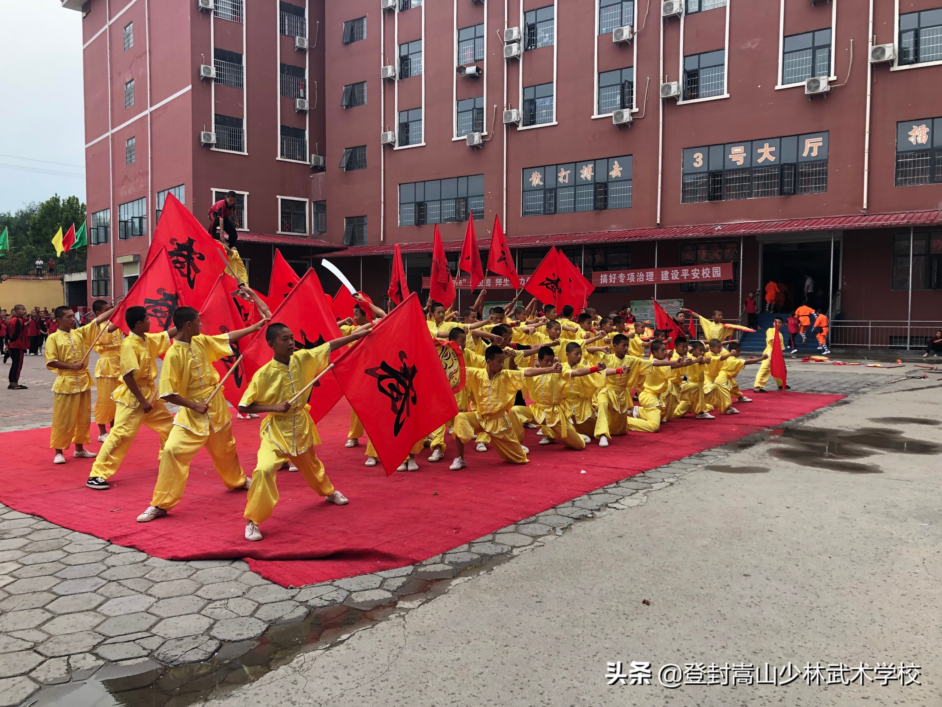 体校学武术有前途吗,学武术的女孩的前途