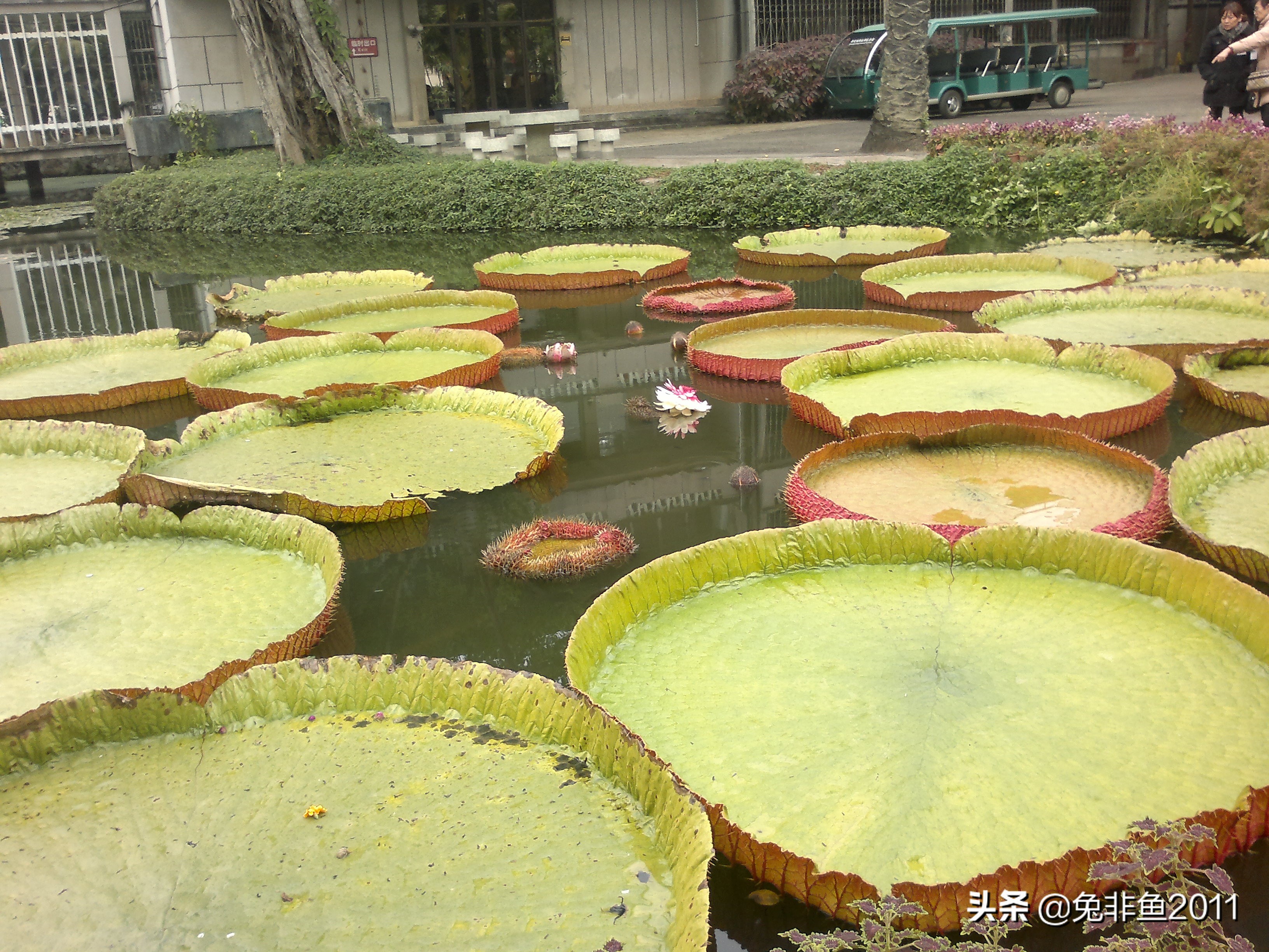 云南腾冲滇峰之旅,云南瑞丽中缅边境一日游