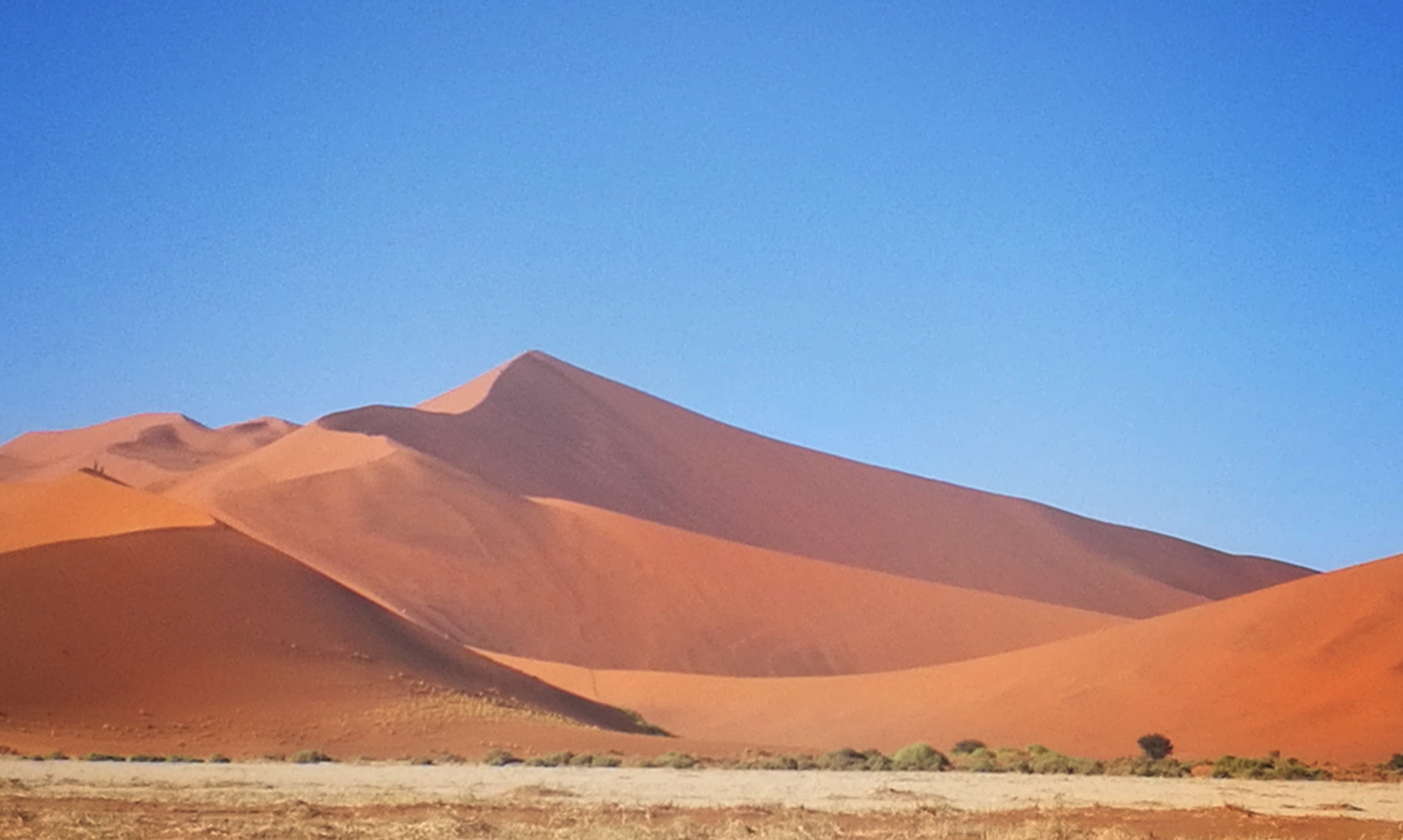 绾崇背姣斾簹绾㈣壊娌欐紶,绾崇背姣斾簹娌欐紶涔嬫梾