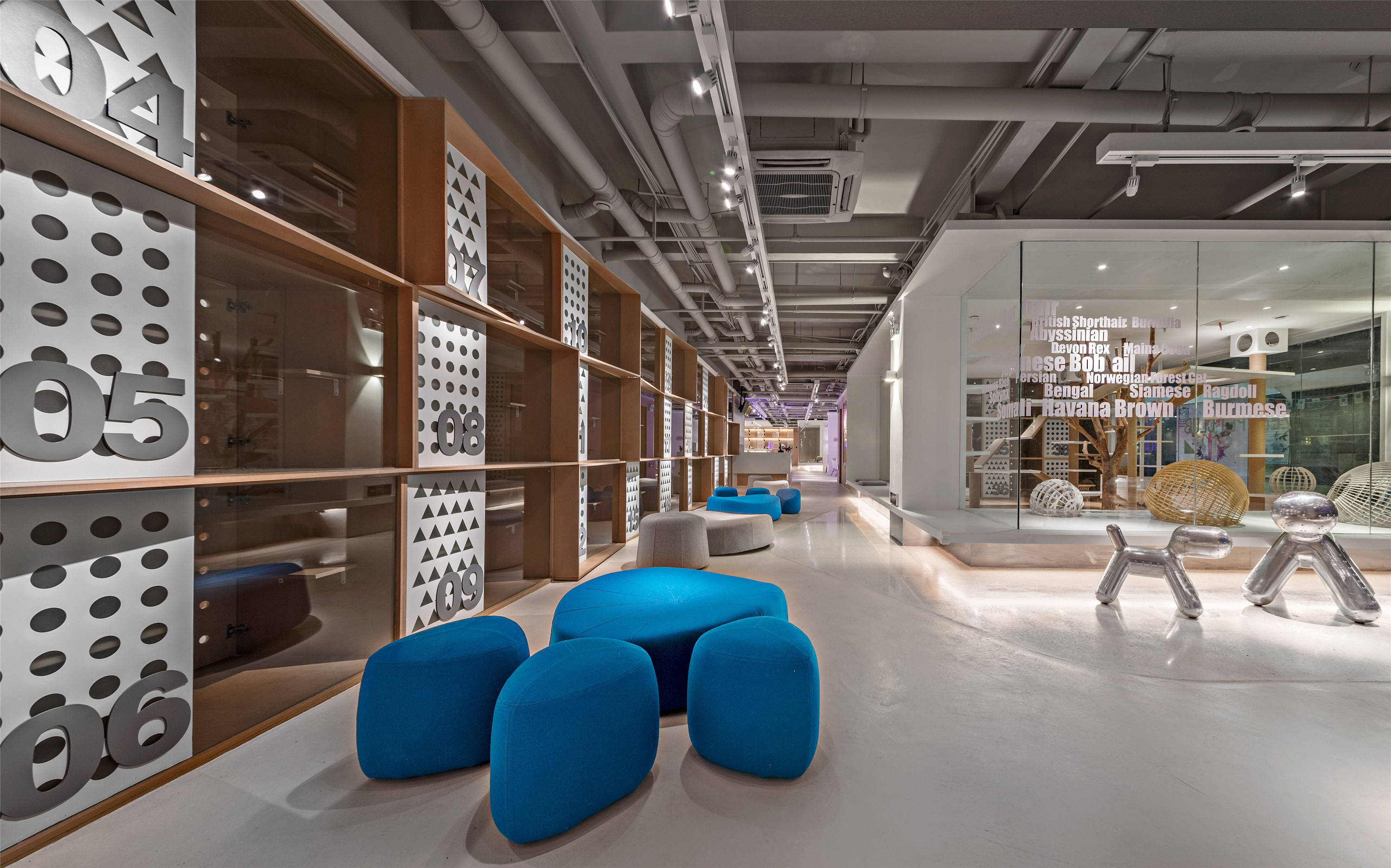 通州宠物店装修设计费用,深圳宠物店设计装修多少钱