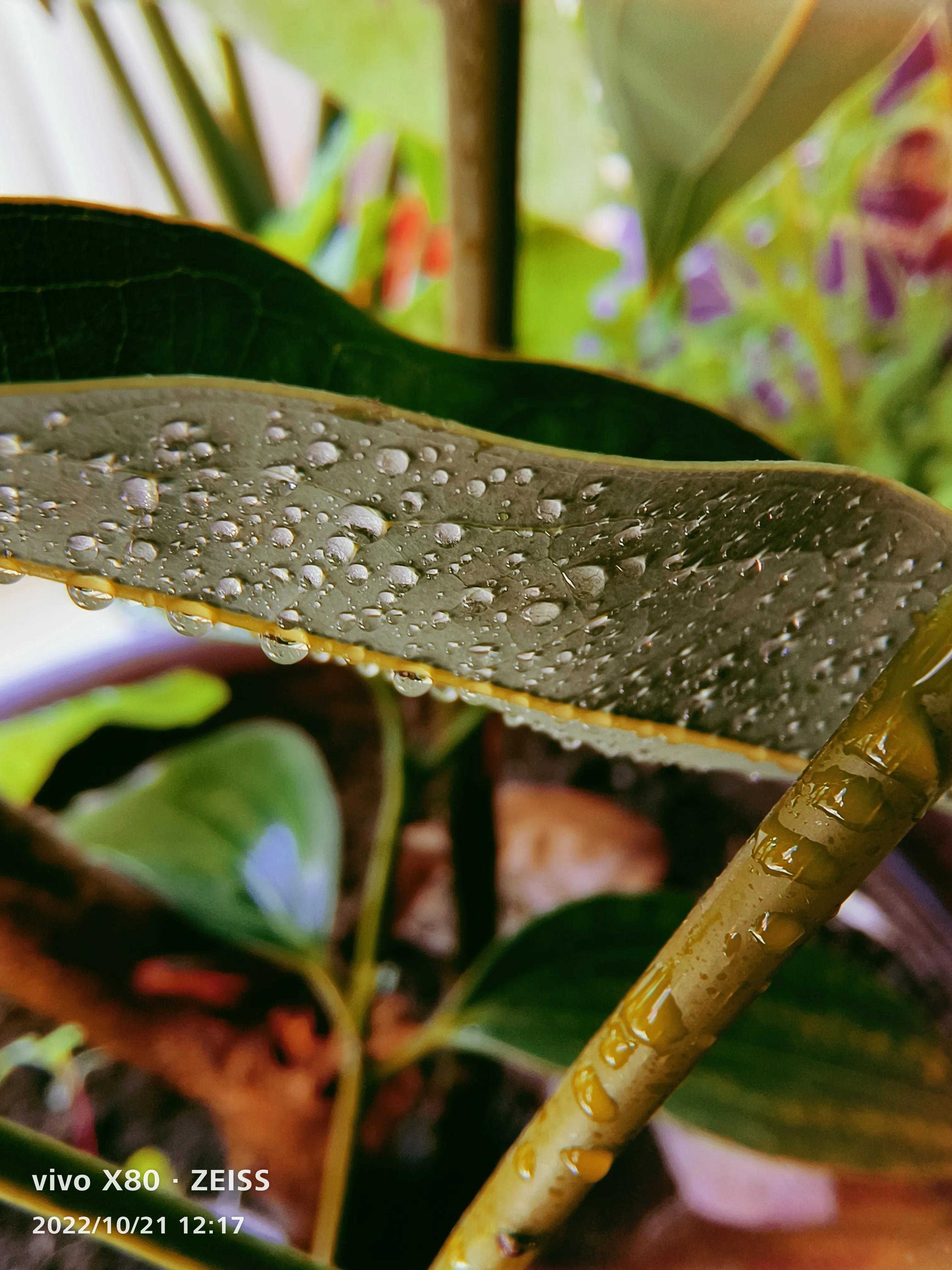 股骨颈骨折康复治疗,股骨颈骨折内固定康复