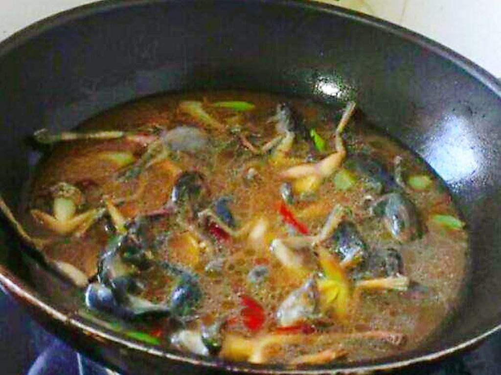 插队时的记忆：五十多年前三道湾抓蛤蟆