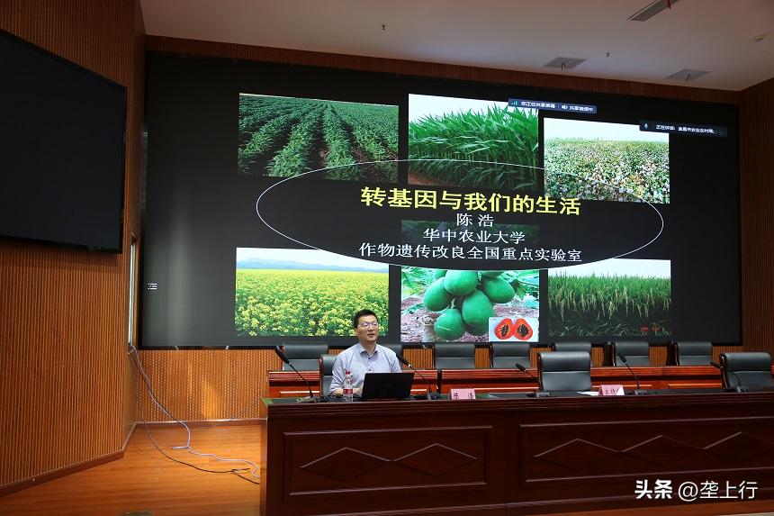 监督管理农业转基因生物安全内容,农业转基因生物安全评价管理