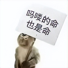 猴子粤语为什么叫马骝,广东话猴子为什么叫马骝