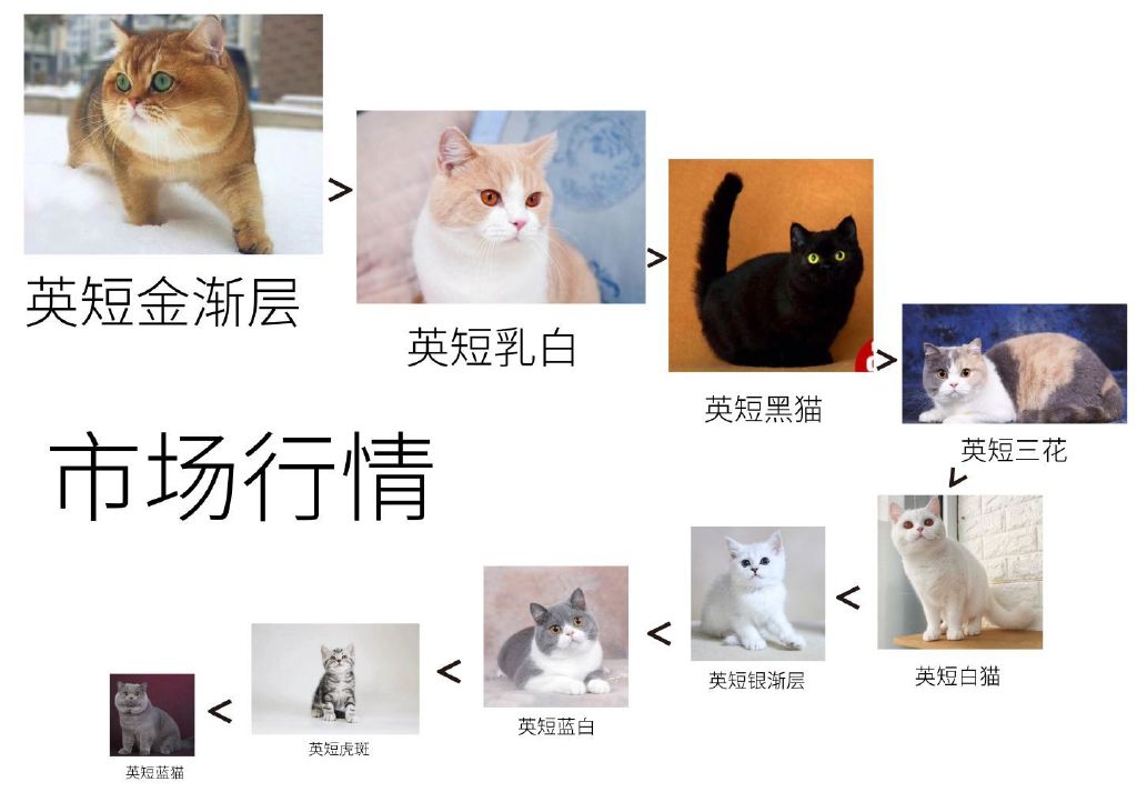 一篇文章搞懂,一篇文章让你彻底搞懂宏观