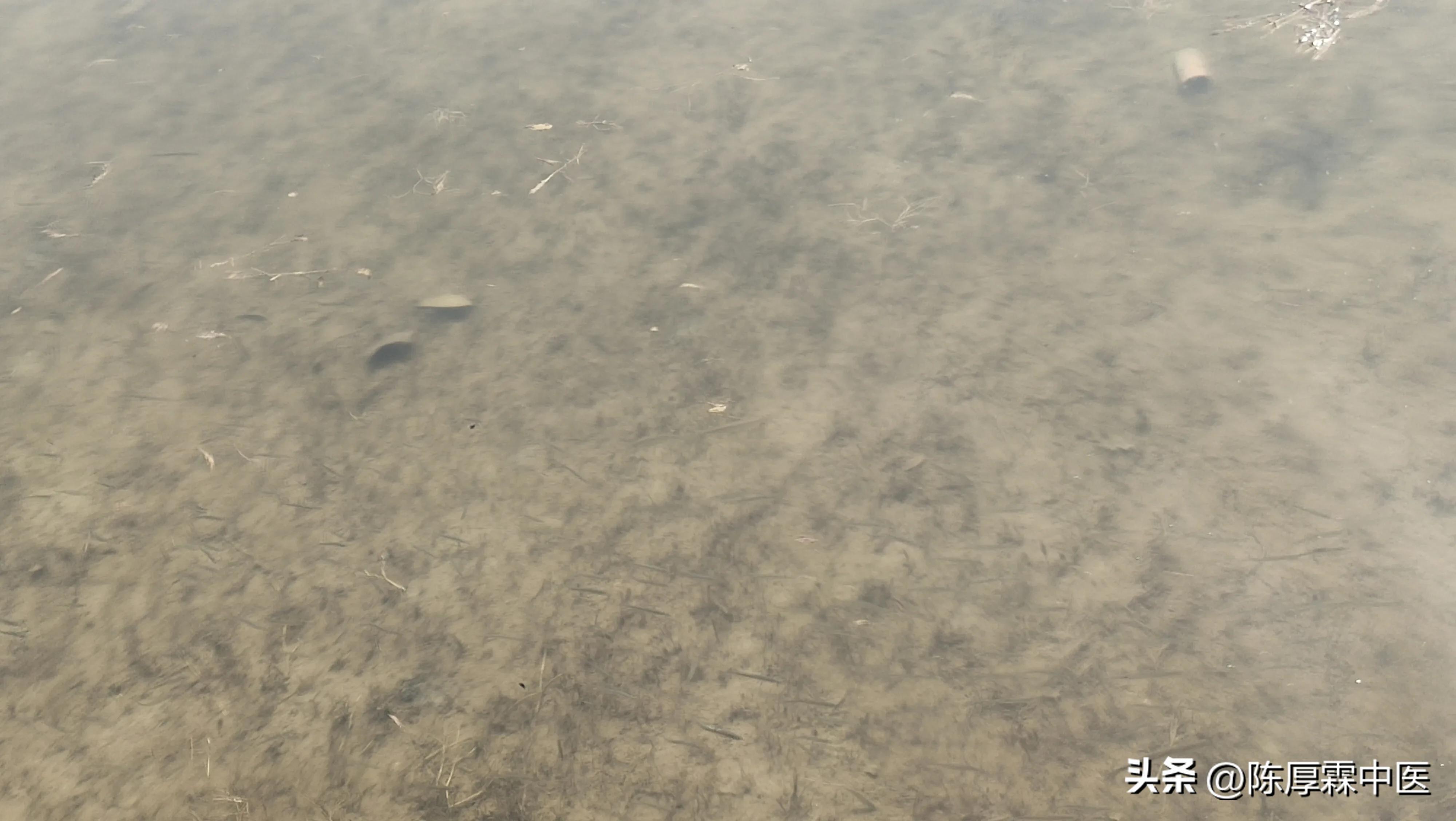 感冒发烧西药药方大全,感冒发烧的中药治疗方法