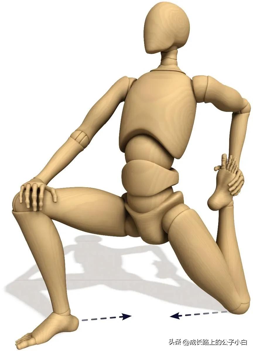 瑜伽解剖体式图解,瑜伽解剖体式讲解