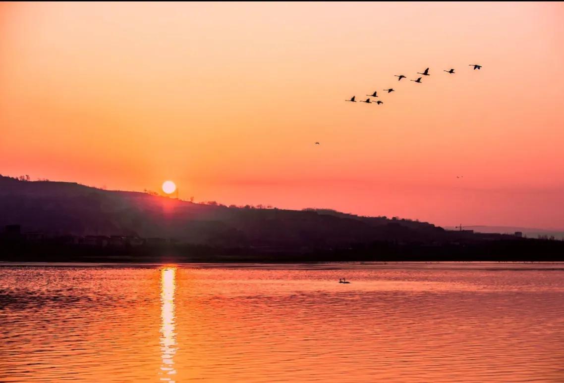 超强写作技巧大全,最佳写作技巧
