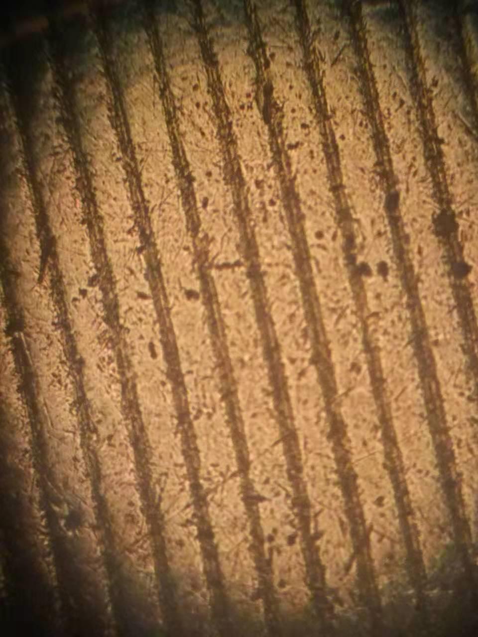 美嘉壳已被超越？痛失小排涡轮增压市场，专家车厂或将选择益飞特