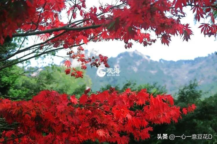 七言诗修心养性