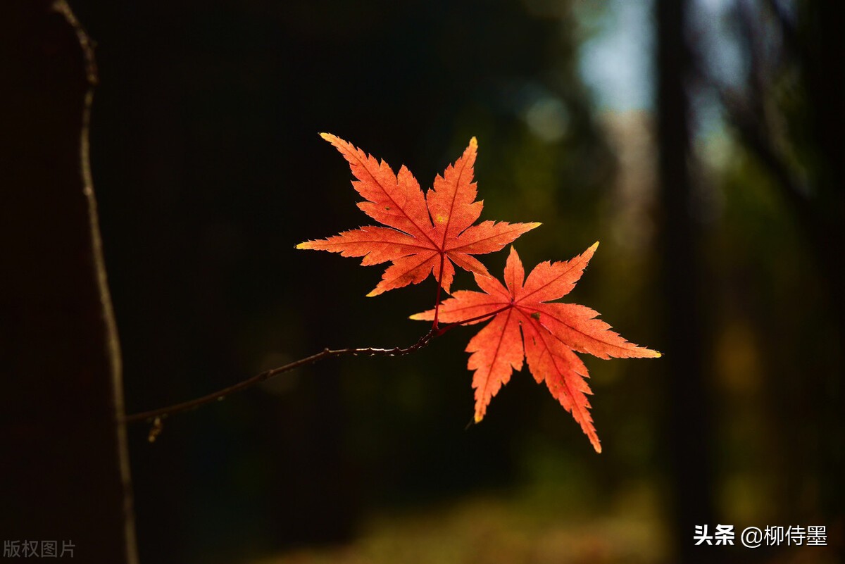 照片拍出来难看怎么修图,照片不能瞎拍