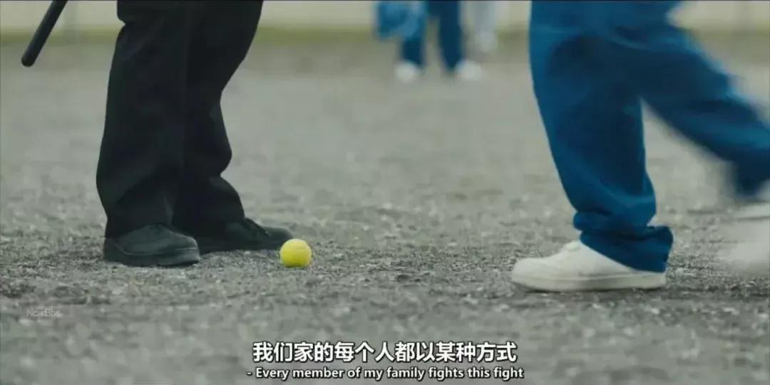 8.6分悬疑推理剧,8.5评分黑帮电影