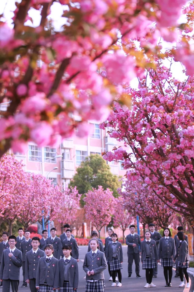 绵阳南实中学实验学校和南山双语,绵阳南山中学实验学校