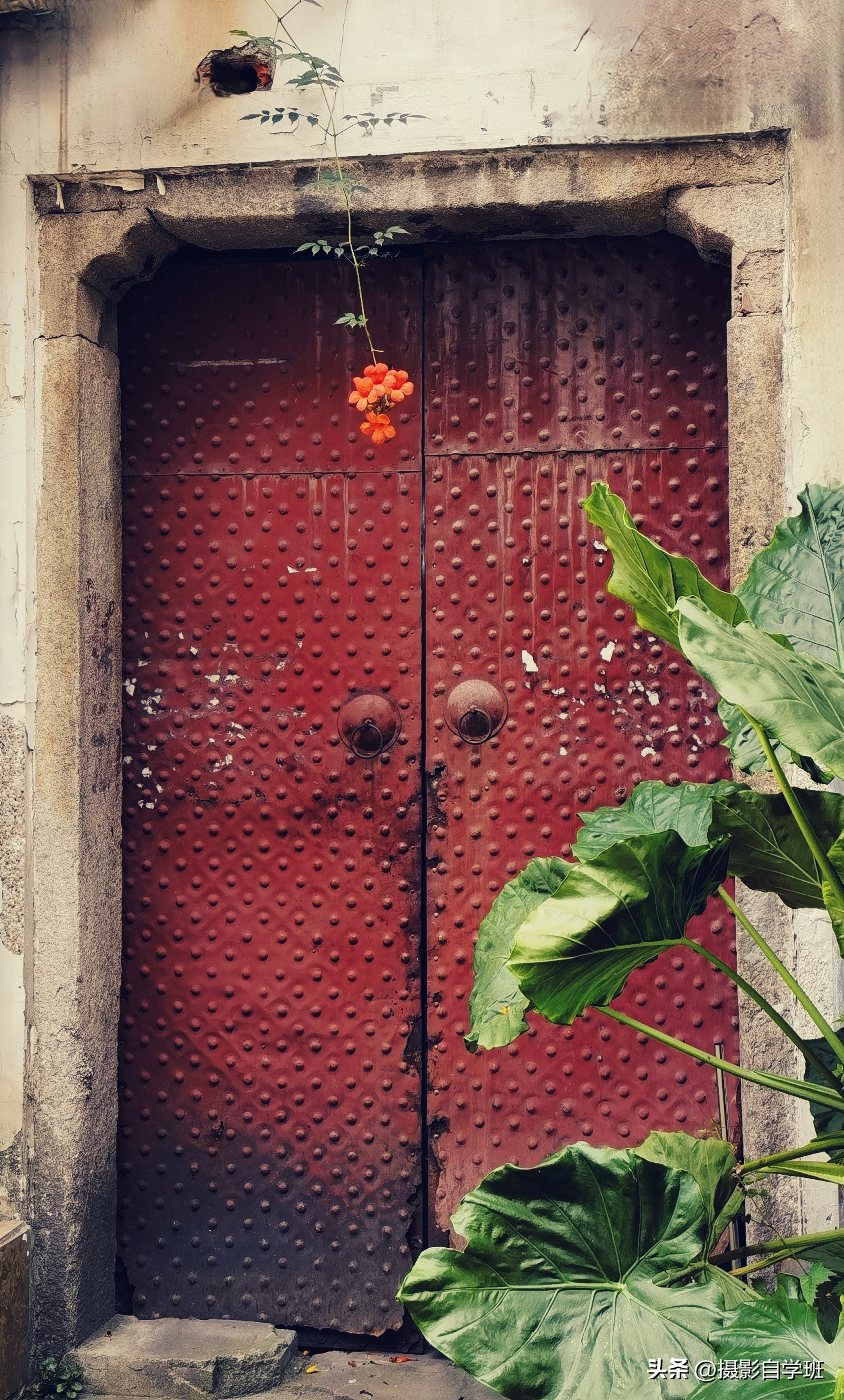 摄友投稿图片,摄友投稿旅行记录图