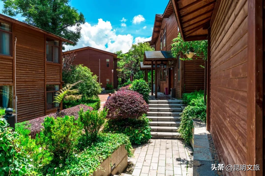 昆明一日游小众打卡景点冬天,小众的昆明周边度假景点