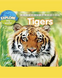 Tigers3~6岁英语启蒙绘本