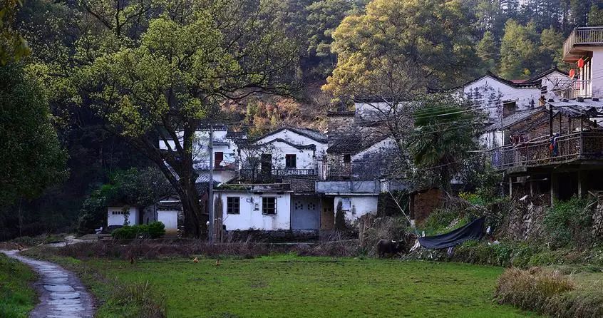醉美黄山4天3晚游,五天四夜游黄山攻略