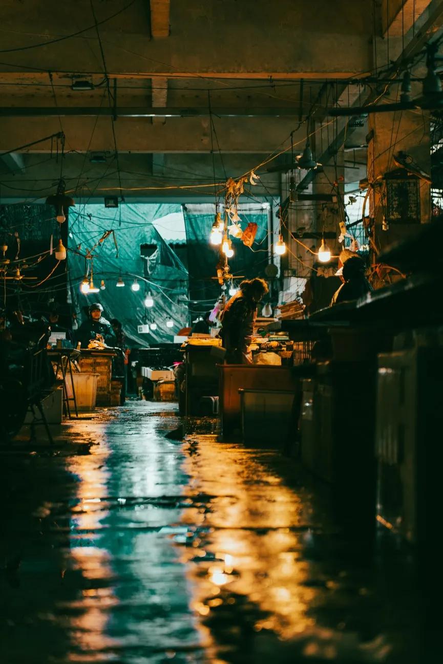 春节潮汕行腾龙28-75mmG2使用体验分享