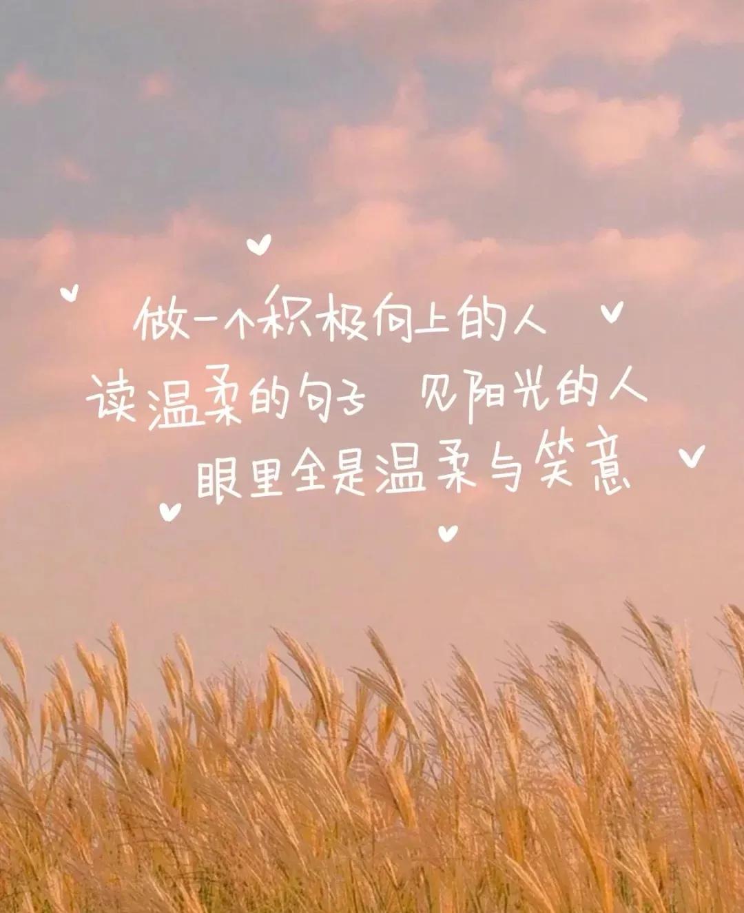 歌词文笔特别好的歌,意境极高的经典歌词