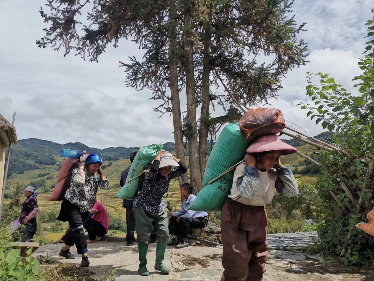 鸟进门有什么讲究,三鸟进宅寓意
