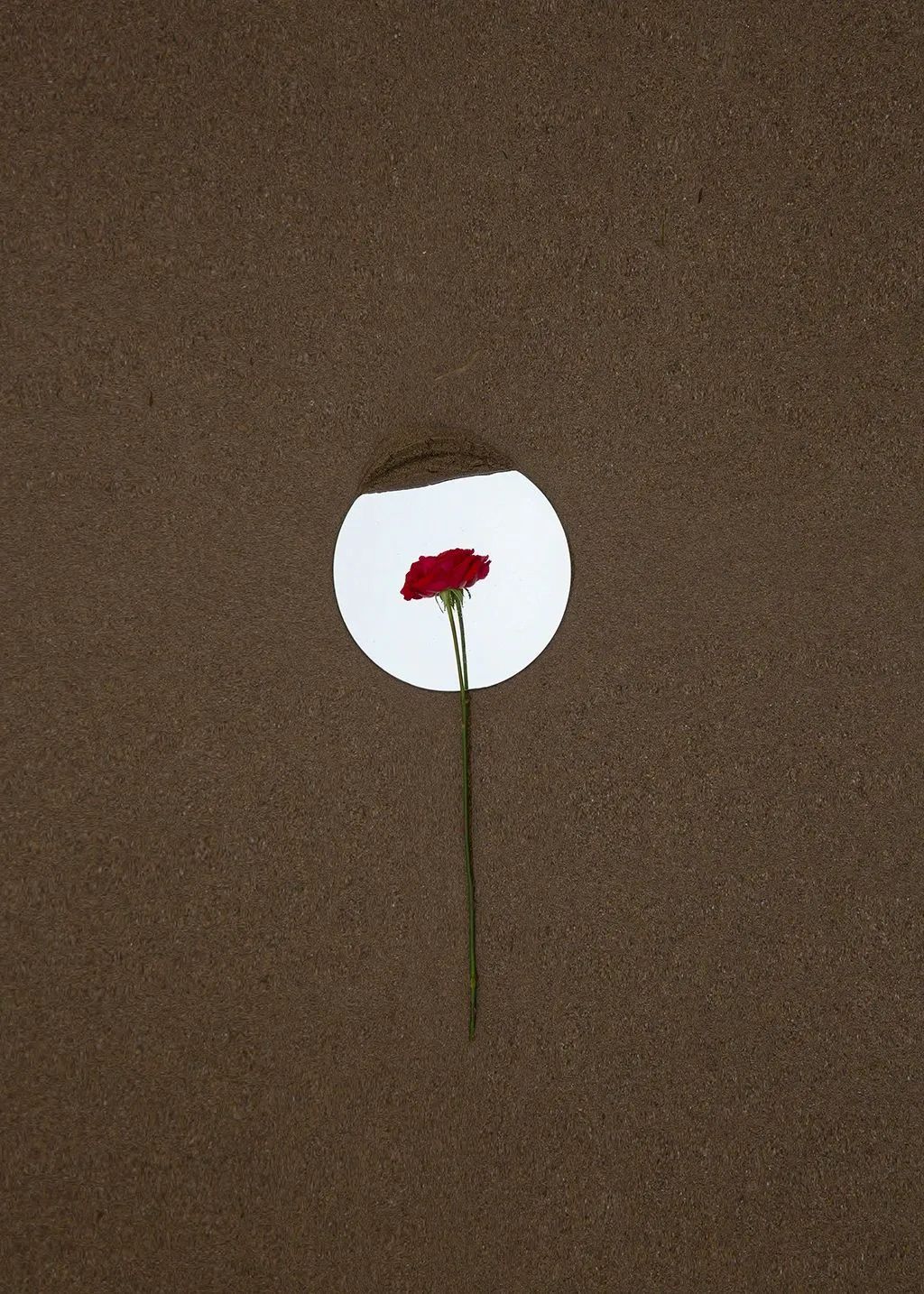 YANSELF摄影师联盟同题创作——爱情（2023年04月第八期）