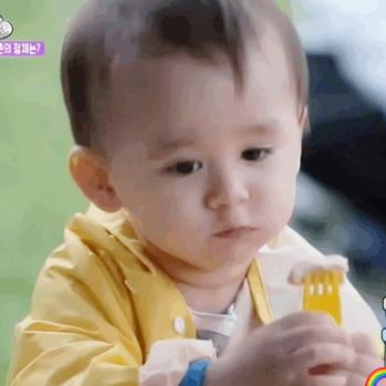 韩圈还有哪些追星必备app,韩圈追星女孩必备app怎么下载