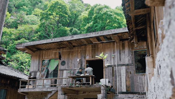 他在贵州租下200亩山谷，95后纷纷投奔：过不花钱的日子，很快乐