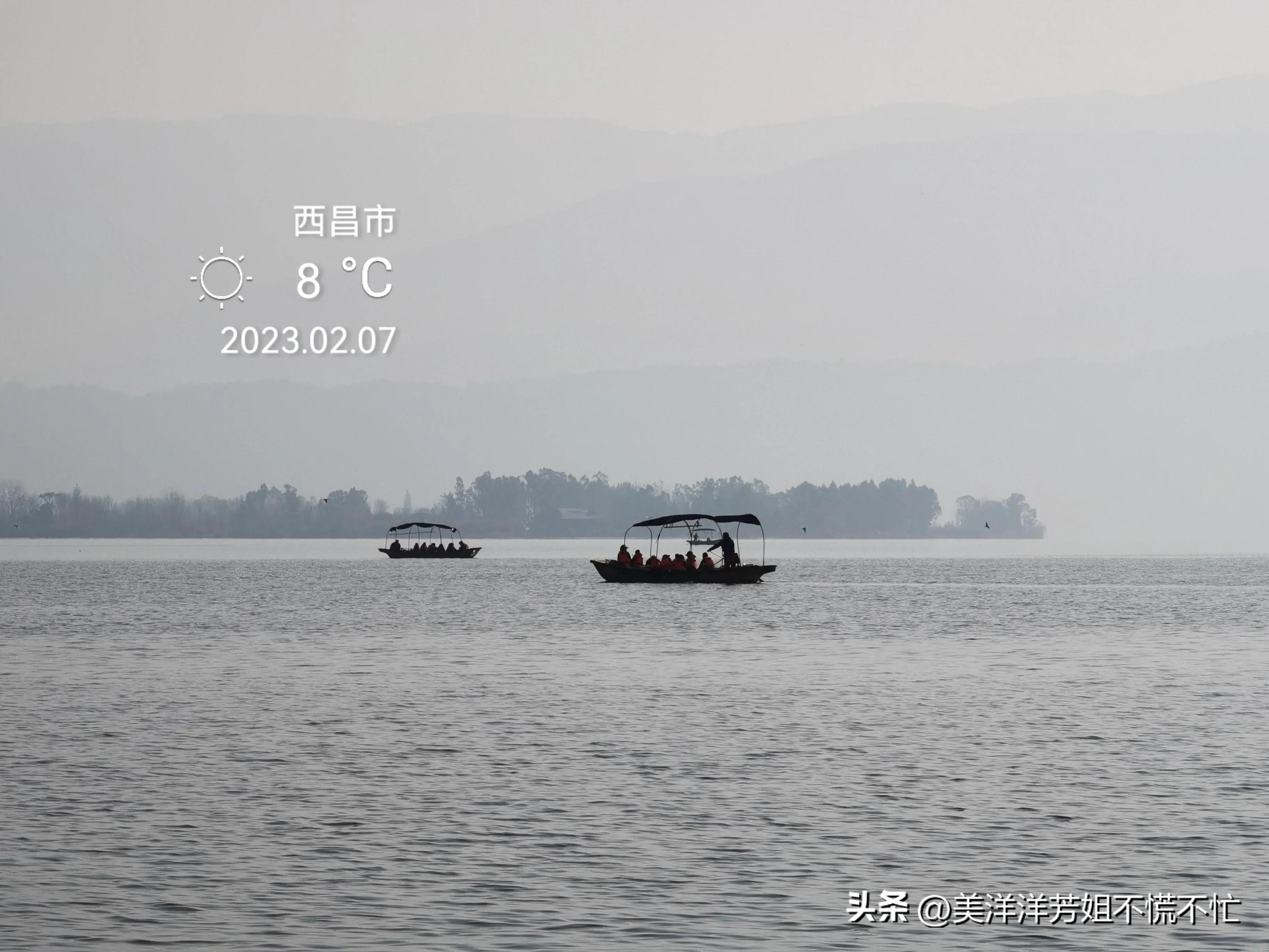 西昌邛海什么时候有海鸥,冬季去西昌邛海喂海鸥