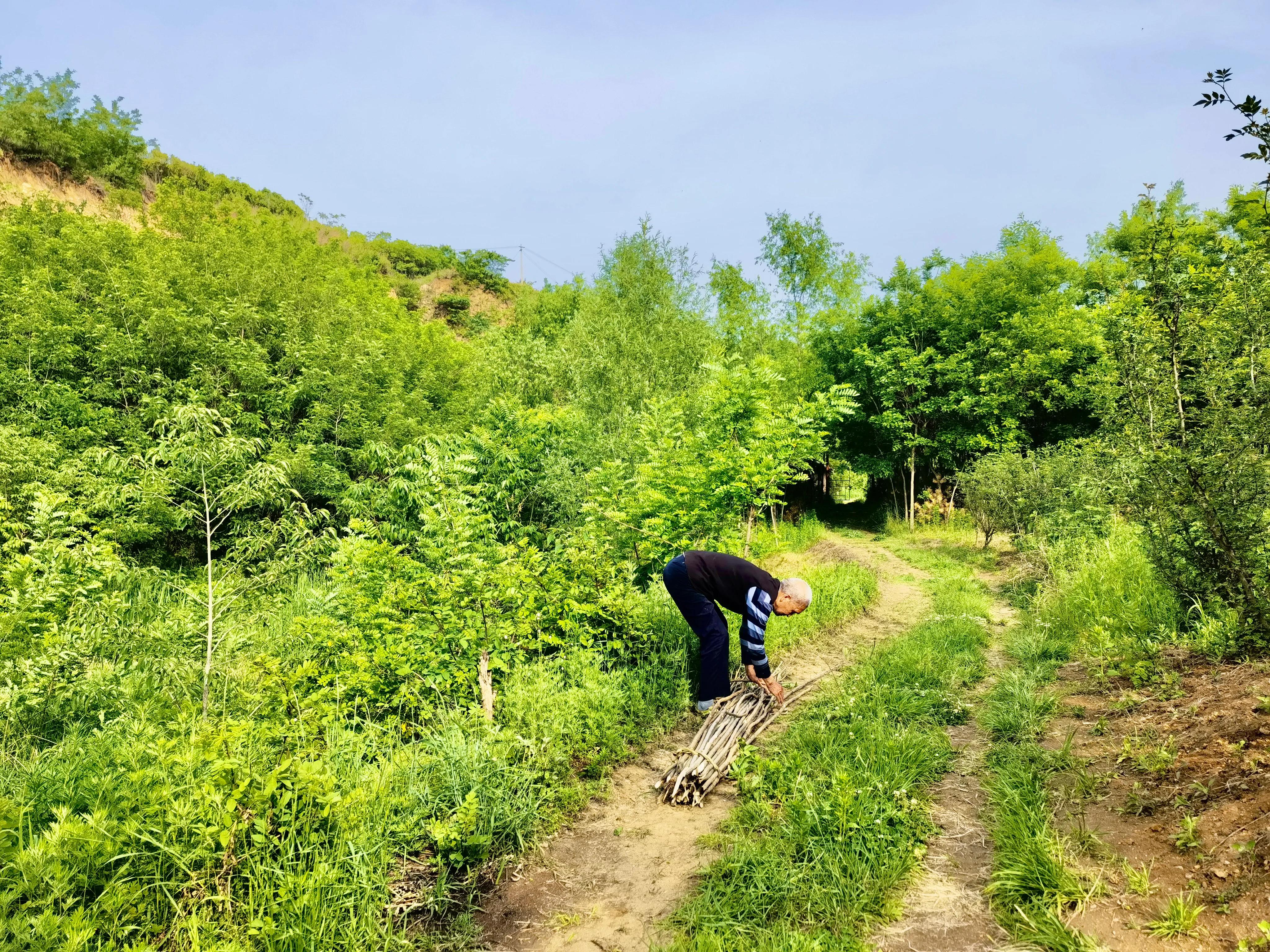 鲤鱼沟自驾游攻略,蓝田关中环线绕山路