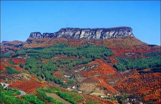 辽宁本溪市,辽宁本溪市共享租赁项目加盟电话