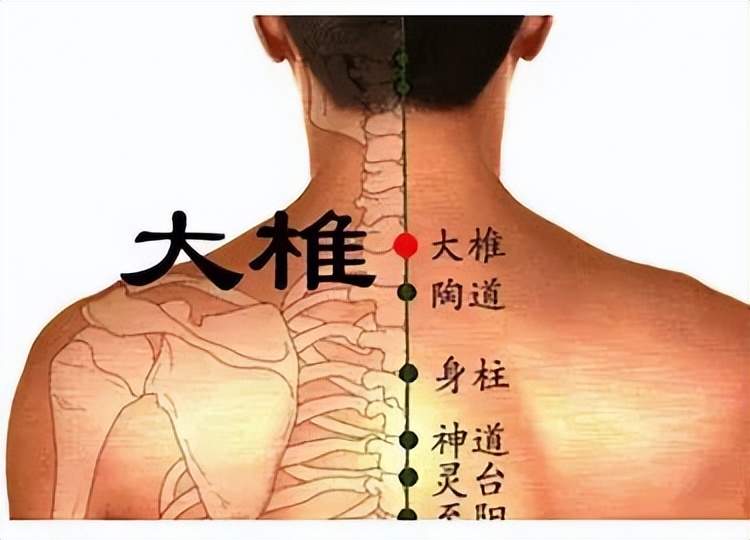 遵节循气|*光春**为礼,花开为信