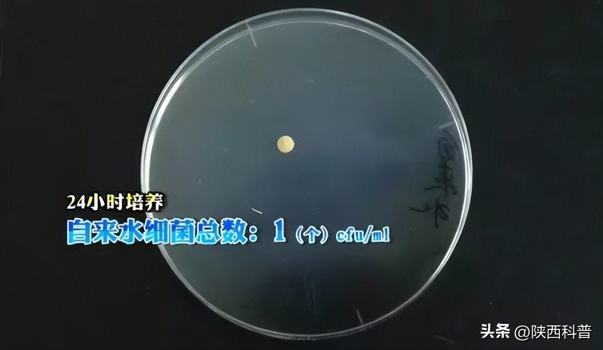 饮水机的水真的有那么脏吗,实测饮水机你想象不到的脏