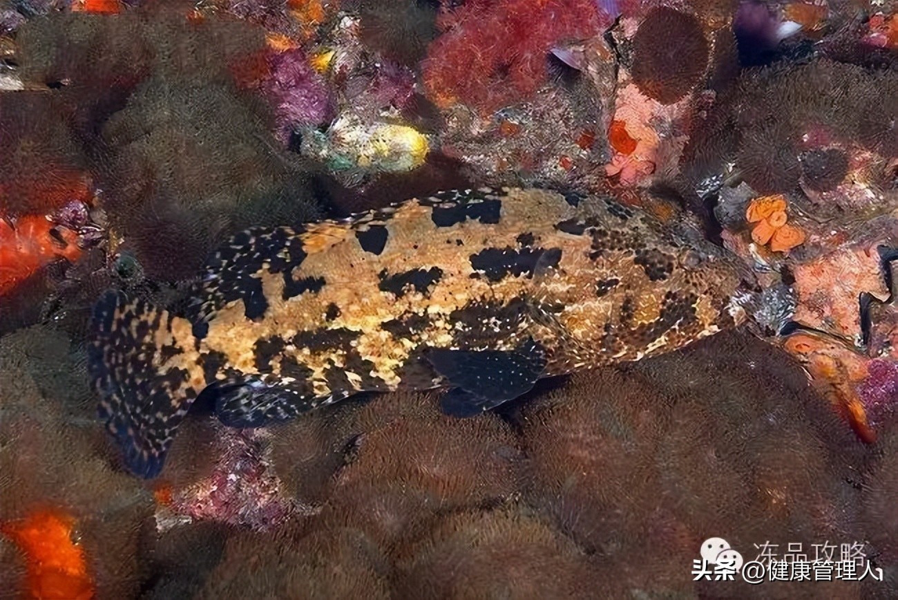 美容护肤食疗方案,美容护肤养生介绍