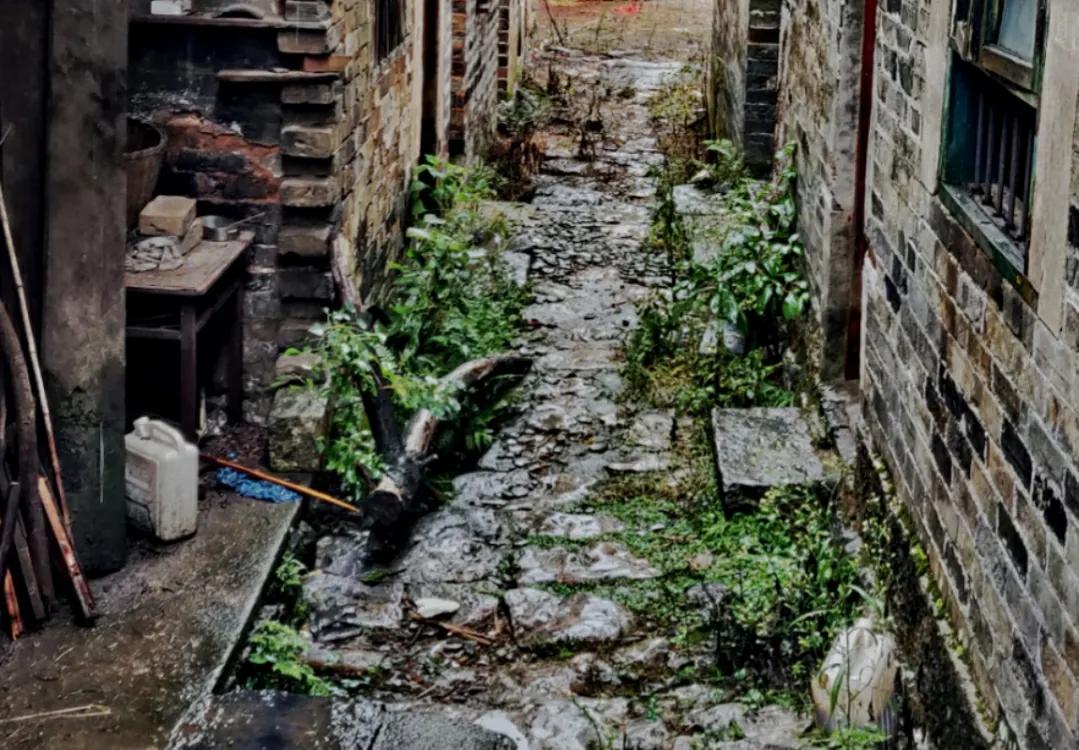 农民赚钱的心里话,村民靠什么最赚钱